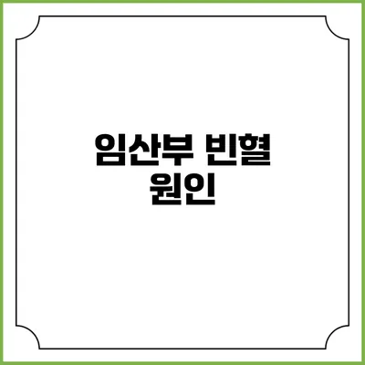 임산부 빈혈: 원인