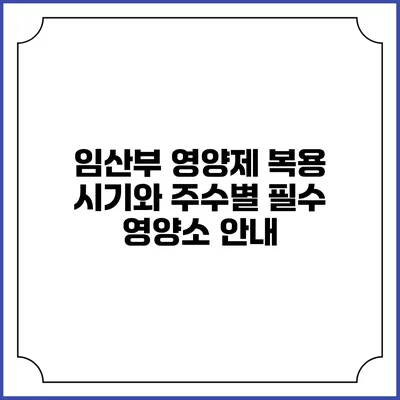 임산부 영양제: 복용 시기와 주수별 필수 영양소 안내