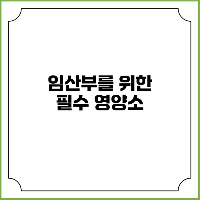 임산부를 위한 필수 영양소