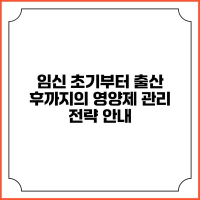 임신 초기부터 출산 후까지의 영양제 관리 전략 안내