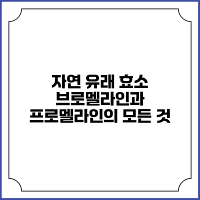 자연 유래 효소: 브로멜라인과 프로멜라인의 모든 것