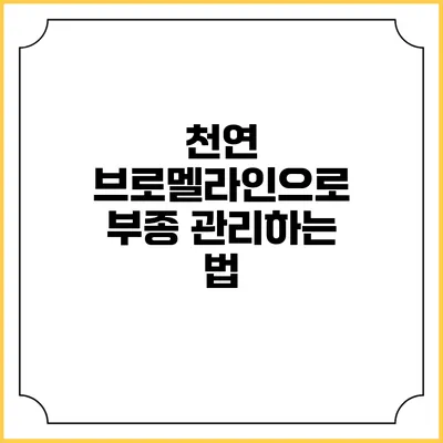 천연 브로멜라인으로 부종 관리하는 법