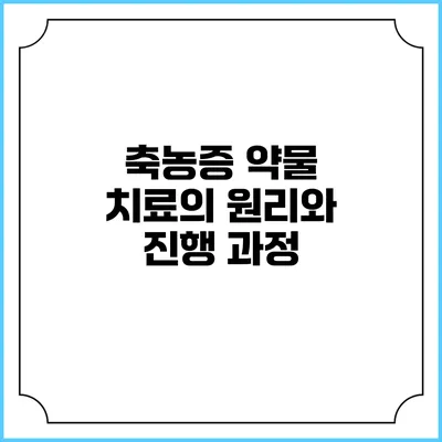 축농증 약물 치료의 원리와 진행 과정