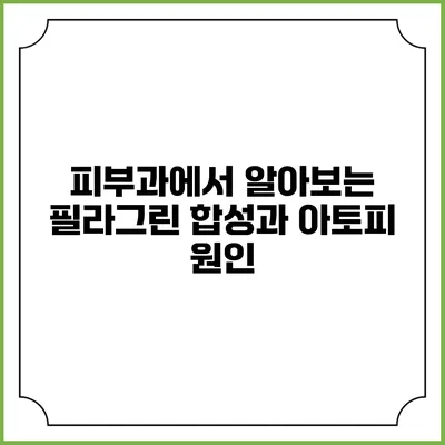 피부과에서 알아보는 필라그린 합성과 아토피 원인