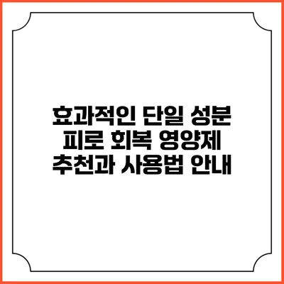 효과적인 단일 성분 피로 회복 영양제 추천과 사용법 안내