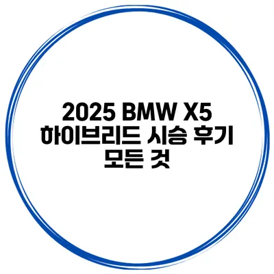 2025 BMW X5 하이브리드 시승 후기 모든 것