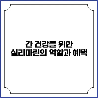 간 건강을 위한 실리마린의 역할과 혜택