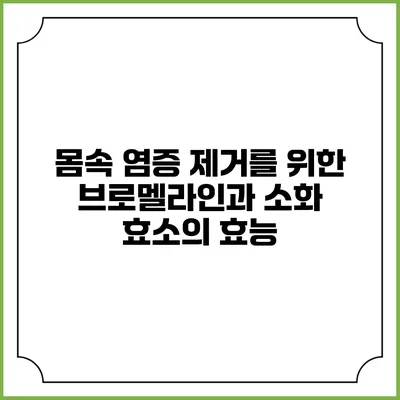 몸속 염증 제거를 위한 브로멜라인과 소화 효소의 효능