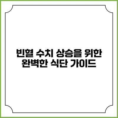 빈혈 수치 상승을 위한 완벽한 식단 가이드