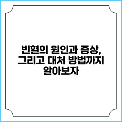 빈혈의 원인과 증상, 그리고 대처 방법까지 알아보자