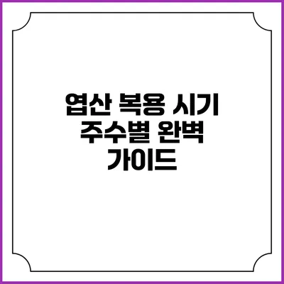 엽산 복용 시기 주수별 완벽 가이드