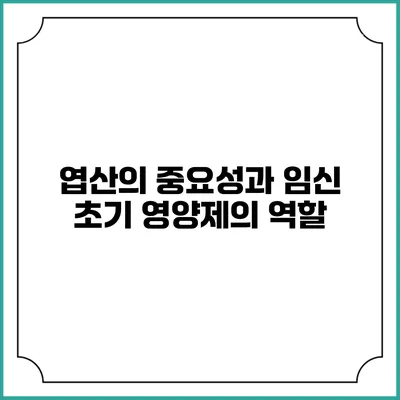 엽산의 중요성과 임신 초기 영양제의 역할