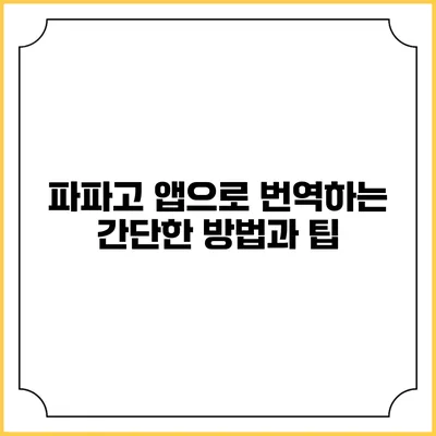 파파고 앱으로 번역하는 간단한 방법과 팁